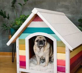 Extreme Home Makeover: Edición para perros con casa para perros arco iris
