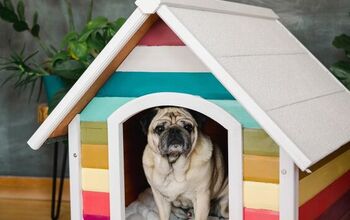 Extreme Home Makeover: Doggie Edition With Rainbow Dog House