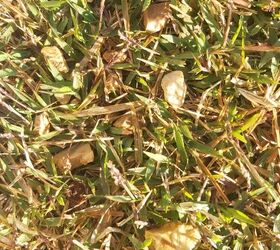 what is the easiest way of getting gravel out of grass