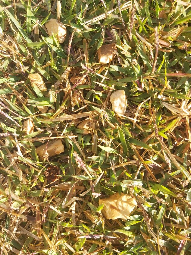 what is the easiest way of getting gravel out of grass