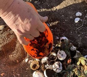daily compost container diy fcil para un rico suelo de jardn en un instante