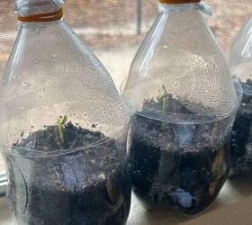 How to Make a Plastic Bottle Greenhouse to Start Seeds