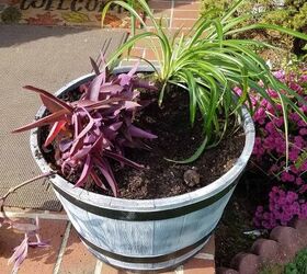 el secreto de mi enorme jardinera, plantas en maceta