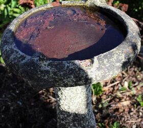 Transformación de un Birdbath en un plantador