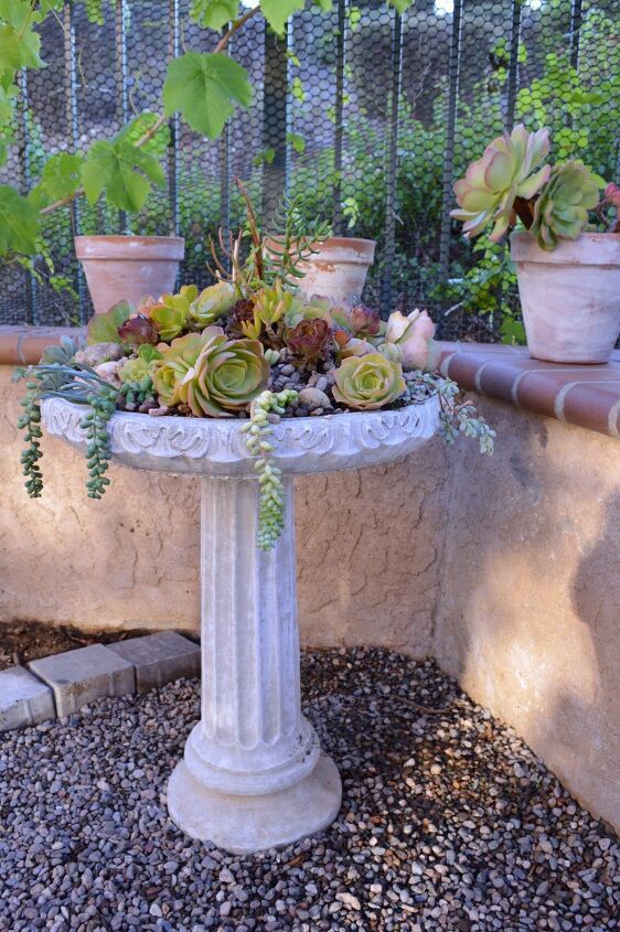 diy succulent birdbath planter