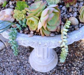 diy succulent birdbath planter