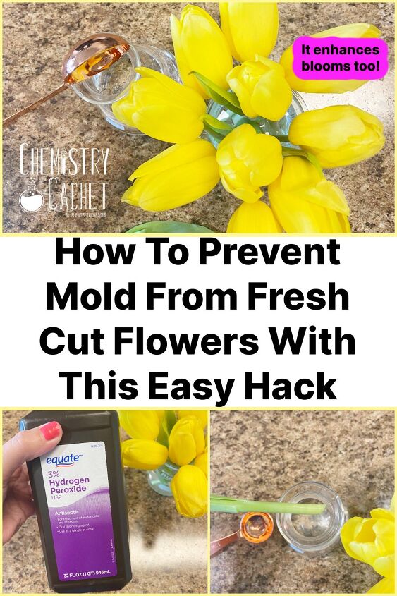 how to prevent mold from fresh cut flowers with this hack