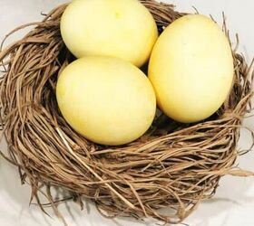 cmo hacer huevos de pascua con tintes naturales y ms, Huevos te idos en nido de p jaros