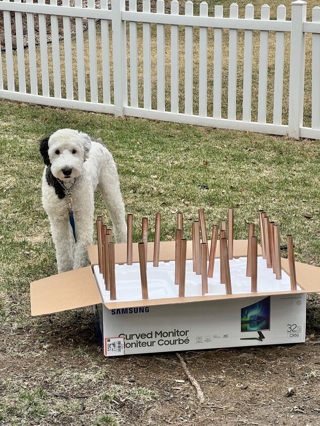 the best way to restore outdoor solar pathway lights, Our dog Bentley standing beside a box of styrofoam with light poles sticking out and ready for spray painting