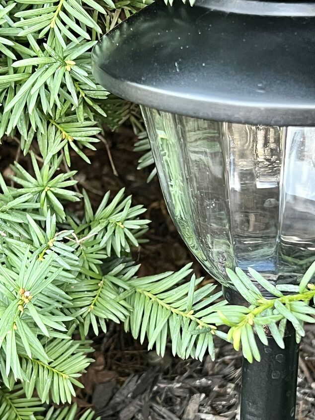 the best way to restore outdoor solar pathway lights, A painted solar light tucked beside a green bush