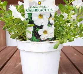 cmo crear una cesta patritica para la puerta con plantas anuales, Blanco Calibrachoa verano anual para Hanning cesta de la puerta Midwest Life and Style Blog