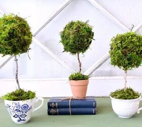 Cómo hacer una mini taza de té Topiary