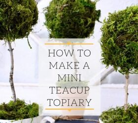 cmo hacer una mini taza de t topiary, Una forma divertida de hacer un topiario mini taza de t