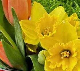 flores de pascua convertidas en un precioso cenador, Tulipanes y narcisos