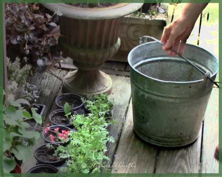 kill mosquitoes before they hatch