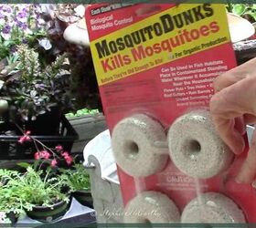 kill mosquitoes before they hatch
