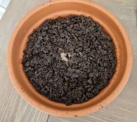 diy faux potting dirt using coffee grounds and glue