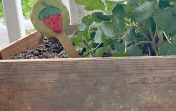 Upcycle a Wine Crate Into a Planter for Strawberries