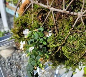 cmo hacer el mejor macetero de pared para tu espacio, Colocaci n de bacopa en la jardinera de pared