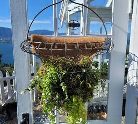 cmo hacer el mejor macetero de pared para tu espacio, A adir plantas a la jardinera de pared