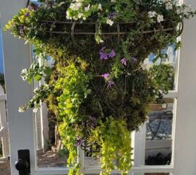 cmo hacer el mejor macetero de pared para tu espacio, Jardinera de pared completamente plantada con enredaderas verdes enredaderas suculentas bacopa flor de abanico etc