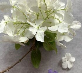 vaso de cristal con flores prensadas planchadas