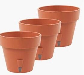 Mini Terracotta Pots