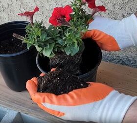 Instead of using planters, here's the gorgeous way he creates a potted garden in his backyard