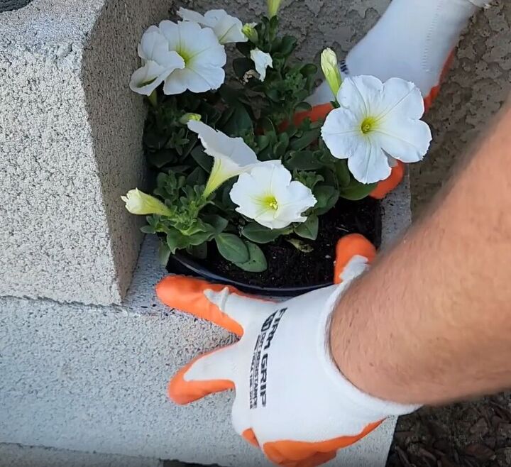 Creating a stunning display of potted flowers