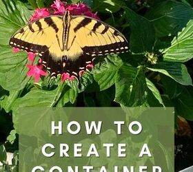 Cómo crear un jardín de mariposas en macetas