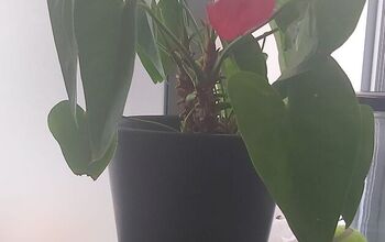 How do I make a DIY self watering planter?