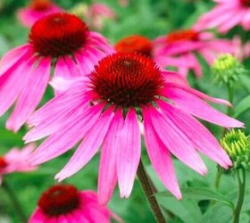 Photo Credit Eden Brothers