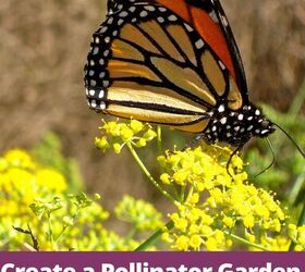 create a pollinator garden with these easy steps, A Monarch Butterfly Atop A Pollinator Plant