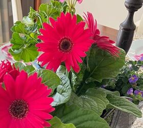 centro de mesa fcil con flores anuales, Gerberas rosa brillante en el centro de mesa