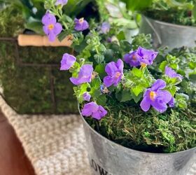 centro de mesa fcil con flores anuales, Flores anuales moradas en cubo de flores