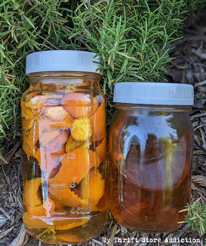 diy fruit peel garden care, Natural orange peel pest control