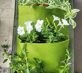 las mejores camas levantadas del jardn y cmo construirlos, Jardinera vertical de fieltro verde con plantas insertadas