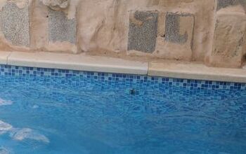 Why am I getting black mold in my pool?