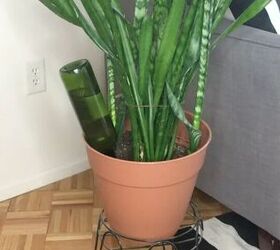 DIY self-watering planter