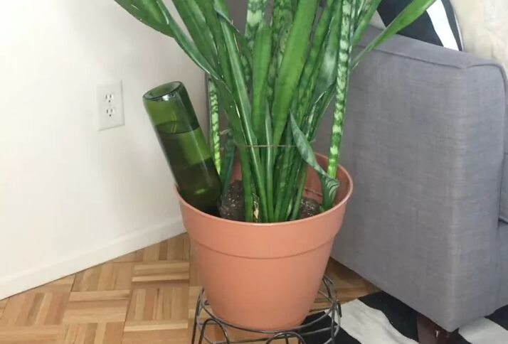 DIY self-watering planter