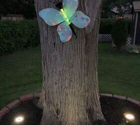 luz solar mariposa