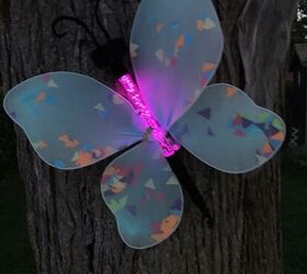 luz solar mariposa