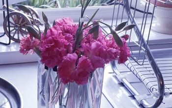 FAB TRICK- Pink Carnation Flowers. NO MORE Drooping While on Display