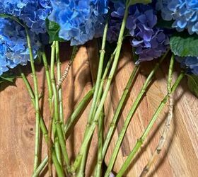 arreglos con hortensias cmo hacerlos fcil y rpidamente, Arreglos florales de hortensias tallos de hortensias sin hojas
