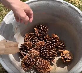 Add pinecones as planter filler