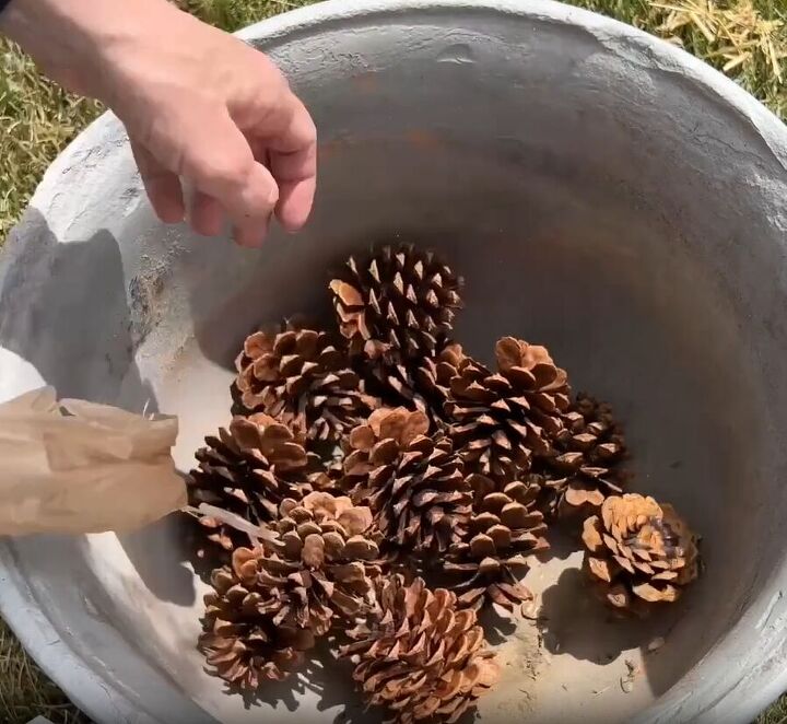 Add pinecones as planter filler