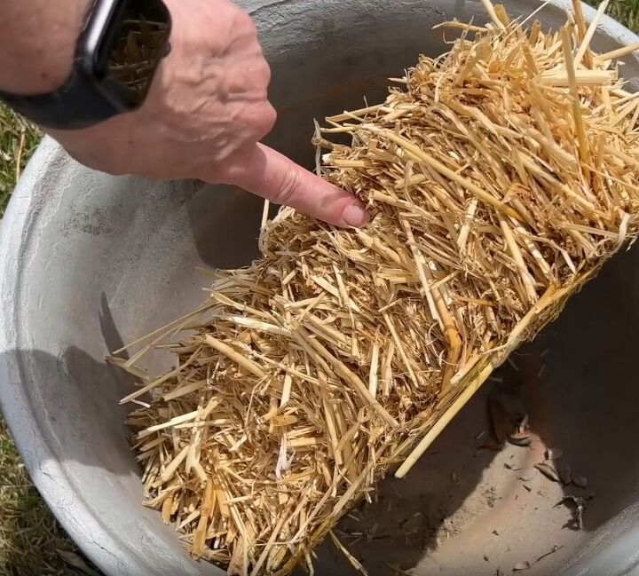 Straw is a great cheap tall planter filler