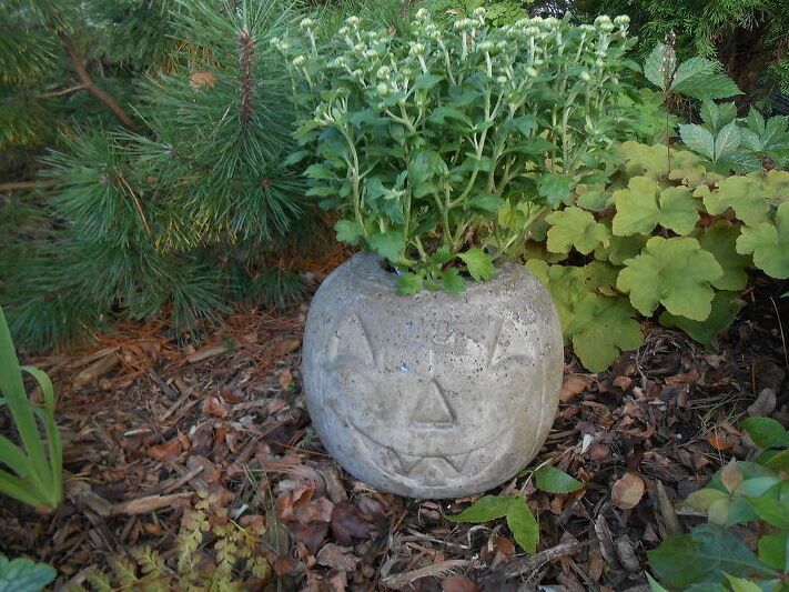 DIY concrete pumpkin planter