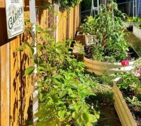 6 pasos para construir un patio trasero homestead