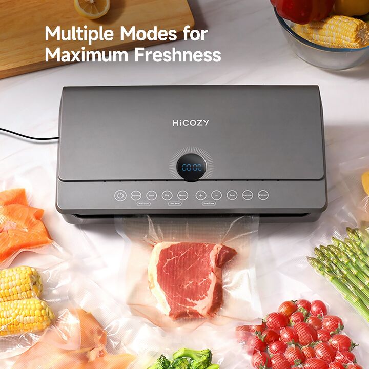 HiCOZY Vacuum Sealer (SJ-2030)